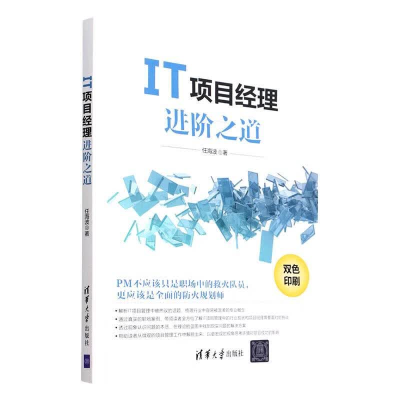IT项目经阶之道计算机与互联网 图书