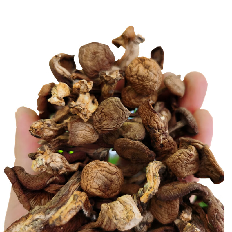 毛尖蘑 大兴安岭毛尖蘑菇菌菇干金子蘑榛蘑菇仙蘑菇丁250g 250g