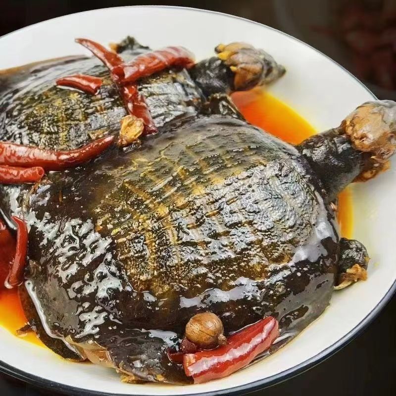 伯贤麻辣五香卤甲鱼老鳖高温王八现做卤味熟食开袋即食甲鱼肉 1斤以下