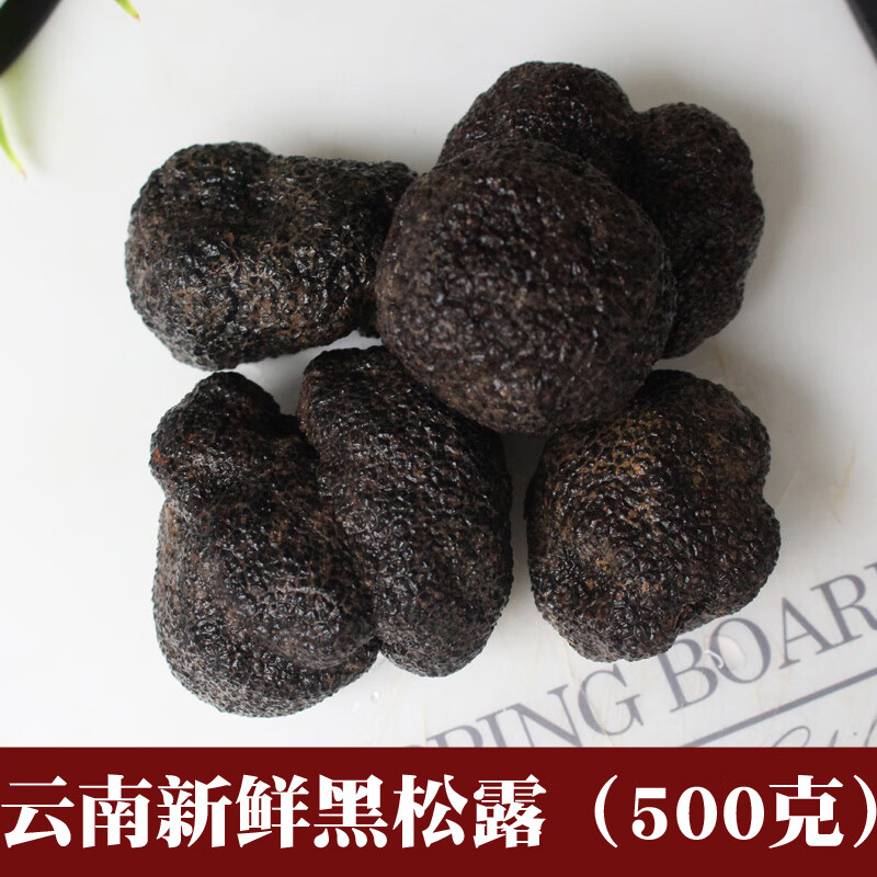 菌妙新鲜黑松露菌云南特产贡山菌块菌猪拱菌菌菇类500