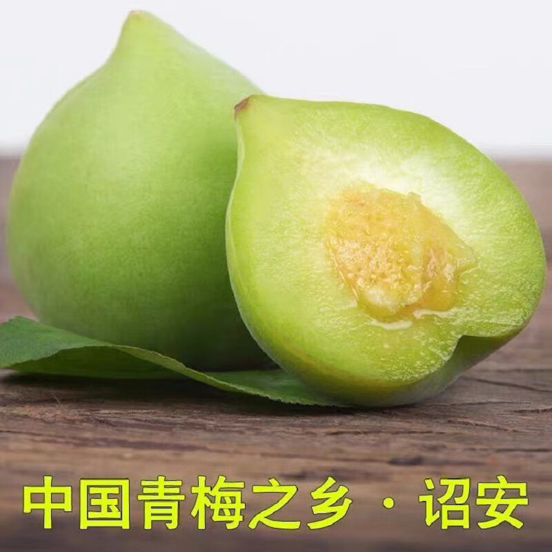 舅甜果蔬福建诏安新鲜青梅果时令应当季新鲜水果泡酒青梅鲜果胭脂梅 1