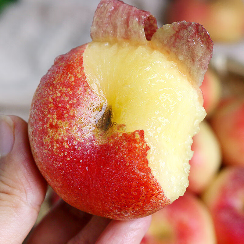 皓谦现货纽扣油蟠桃新鲜水果现摘桃子扁桃水蜜桃当季整箱好吃有面