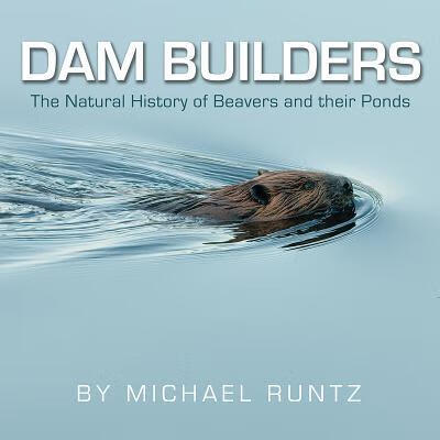预订Dam Builders: The Natural History of Beavers and