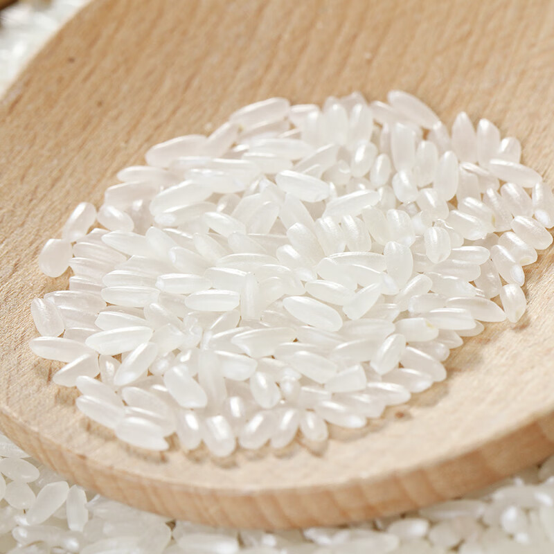 禾澹大米5斤装  现磨粳米米长粒香2.5kg