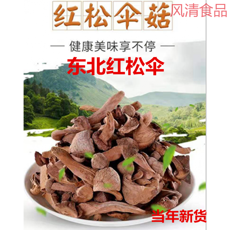红松伞散红蘑蘑菇肉蘑东北血蘑长白山特产香菇一级松树菇500g