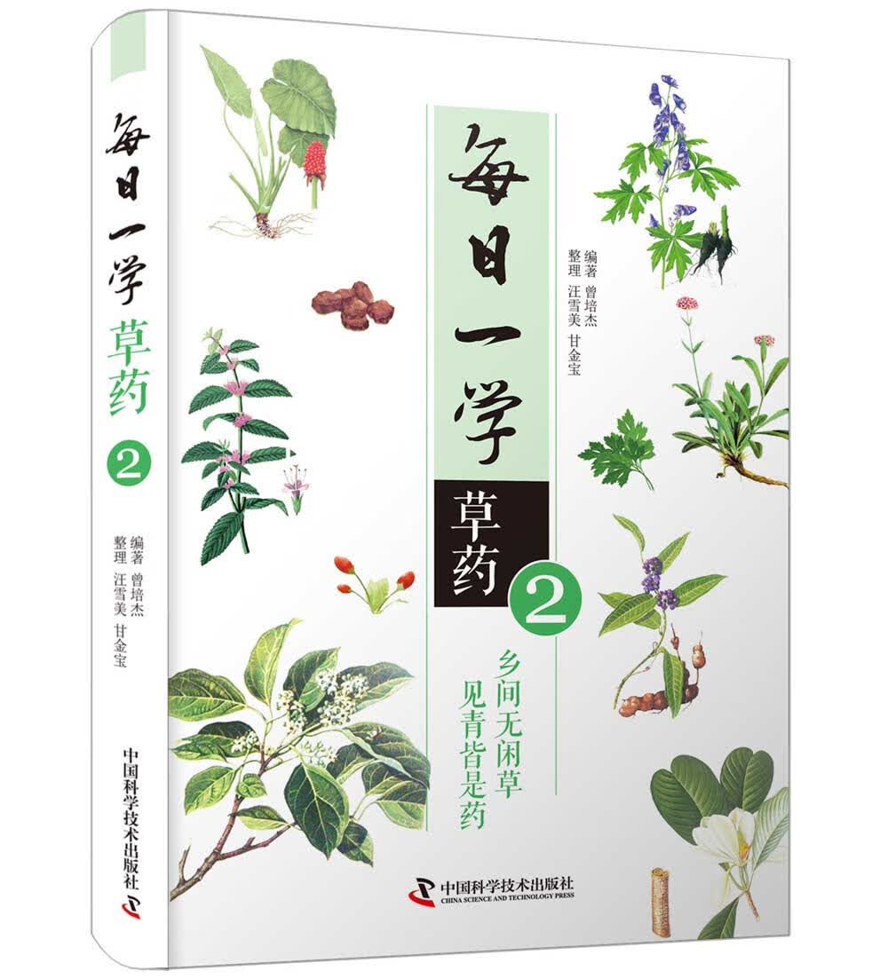 每日一学草药②