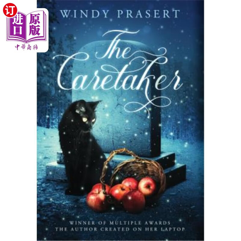 海外直订the caretaker 看门人