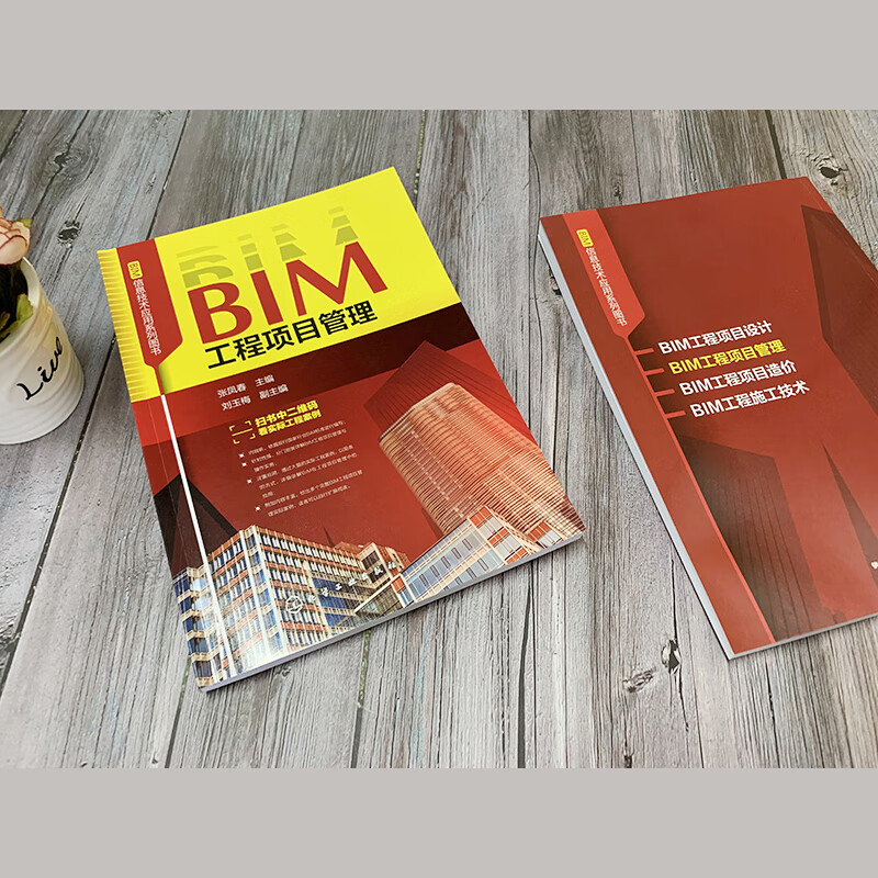 BIM工程项目管理/BIM信息技术应用系列图书