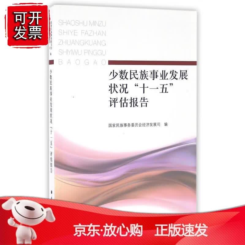 少数民族事业发展状况十一五 评估报告正版
