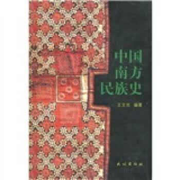中国南方民族史 王文光【正版书】