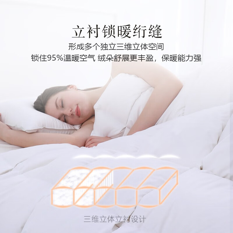 安睡宝（SOMERELLE）羽绒被95%俄罗斯进口大朵白鹅绒被子春秋被冬被抗菌被芯鹅绒被 俄罗斯进口95%大朵白鹅绒立体锁暖-冬被 【抗菌面料】 【220*240cm-抗菌抗菌保暖】