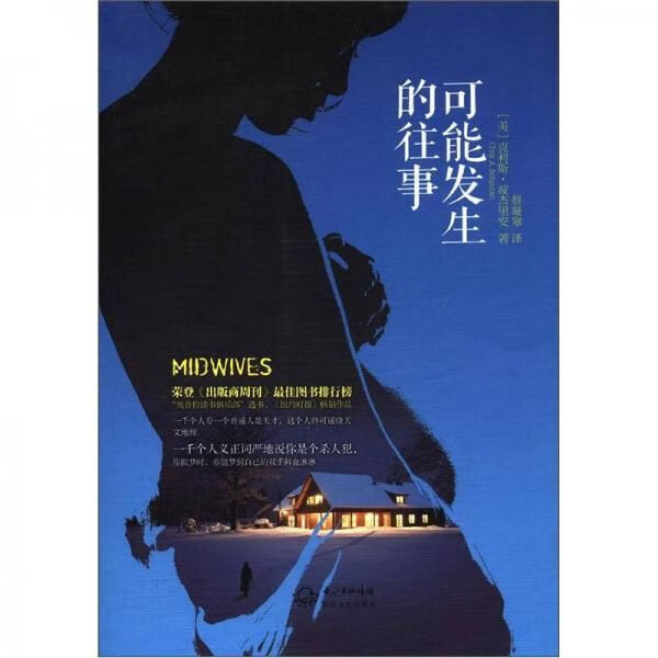 可能发生的往事9787535459565