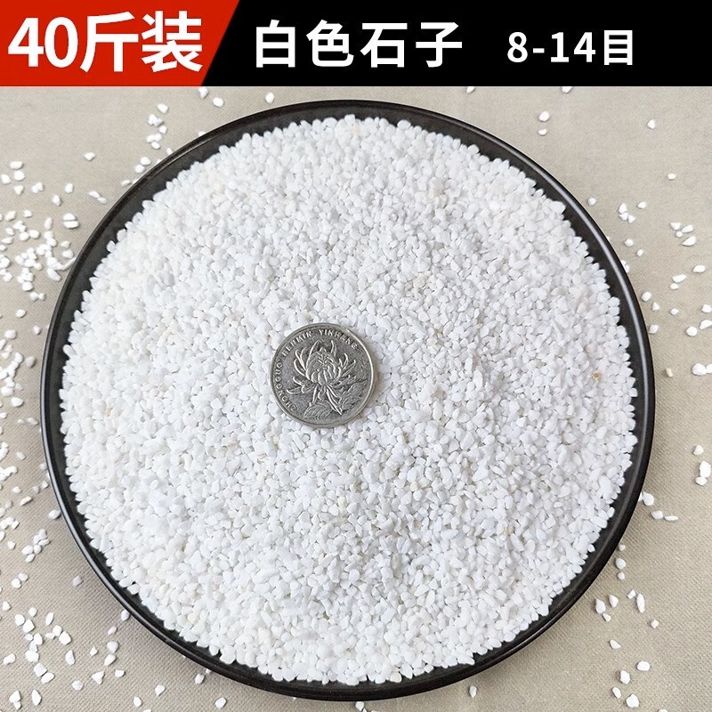 40斤白石子石头庭院铺路景观石户外花园白色小砾石子 40斤白沙8