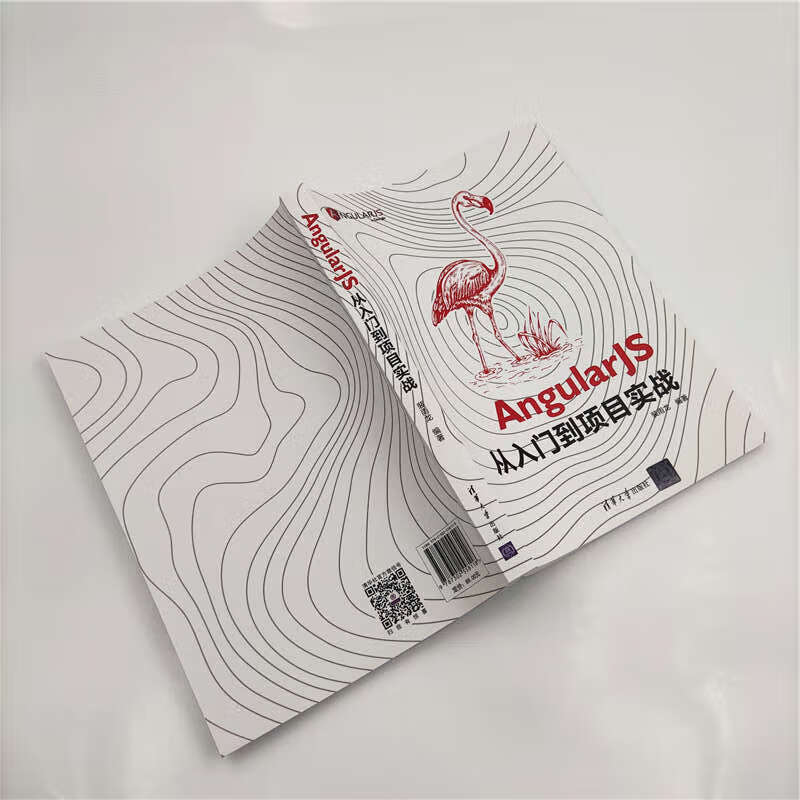 AngularJS从入门到项目实战详情图