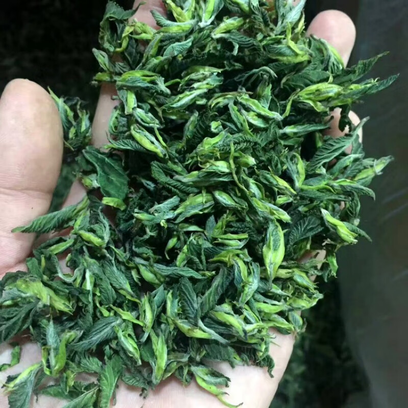 桑芽茶山东野生桑叶茶非特级冻干霜后桑叶茶嫩芽茶桑芽菜60g** 60g**