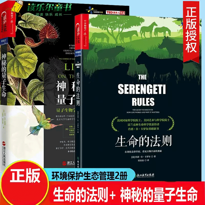 神秘的量子生命 生命的法则在塞伦盖蒂草原看见万物兴衰的奥秘 央视