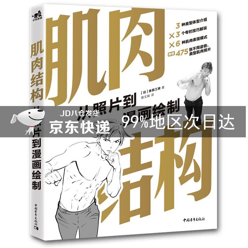 肌肉结构(从照片到漫画绘制)