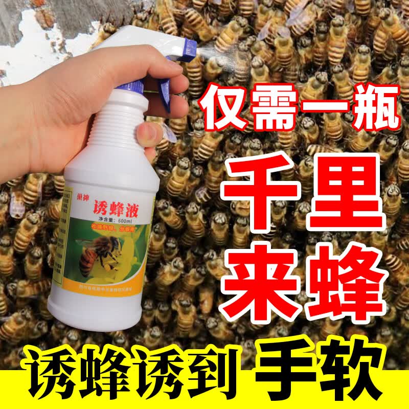 诱蜂水招蜂水600ml蜜蜂信息素野外诱中蜂专用招蜂引蜂分蜂群怎么看?