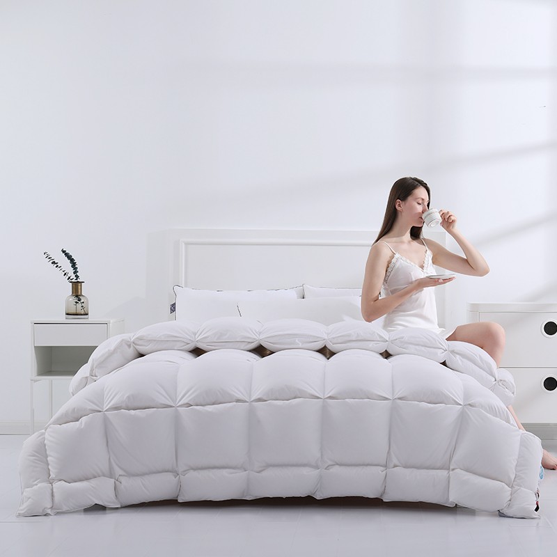 安睡宝（SOMERELLE）羽绒被95%俄罗斯进口大朵白鹅绒被子春秋被冬被抗菌被芯鹅绒被 俄罗斯进口95%大朵白鹅绒立体锁暖-冬被 【抗菌面料】 【220*240cm-抗菌抗菌保暖】