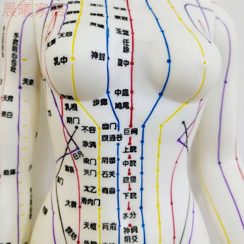 中医人体经络穴位模型针灸图小人小皮人全身扎针练习按摩推拿铜人 白