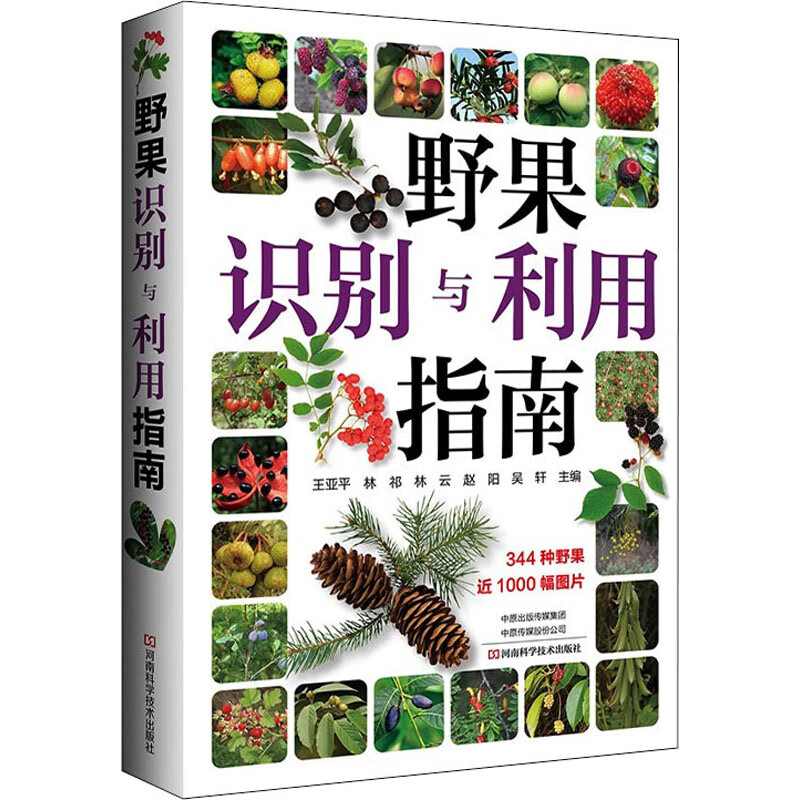 野果识别与利用指南 王亚平 等 编 书籍