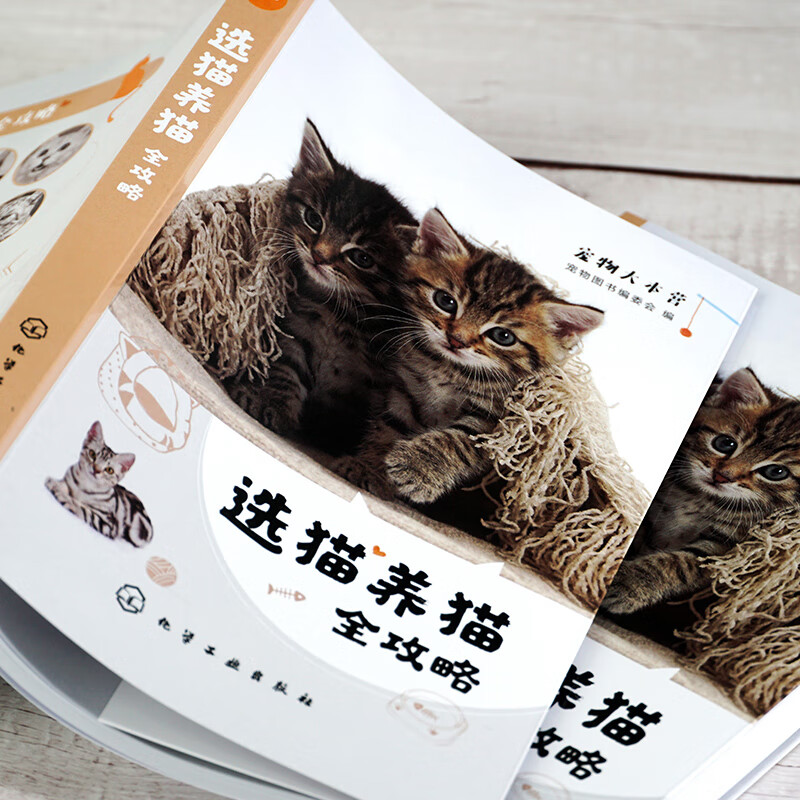 选猫养猫全攻略/宠物大本营