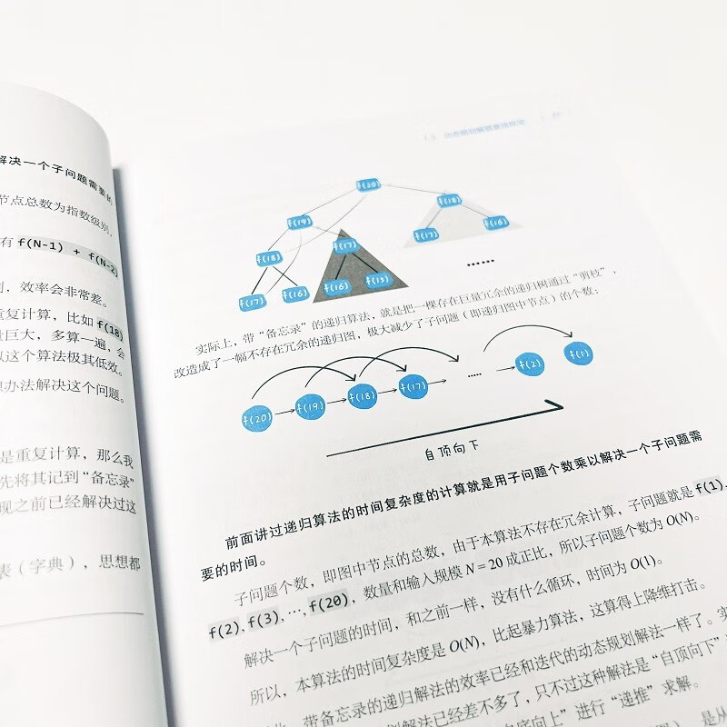 【限量签名版】labuladong的算法笔记（代码以Java或C++实现，含数据结构）