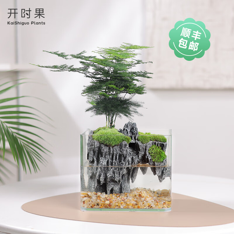 开时果鱼缸盆景创意植物微景观（栽好发货）绿植造景盆栽客厅摆件可养鱼使用感如何?