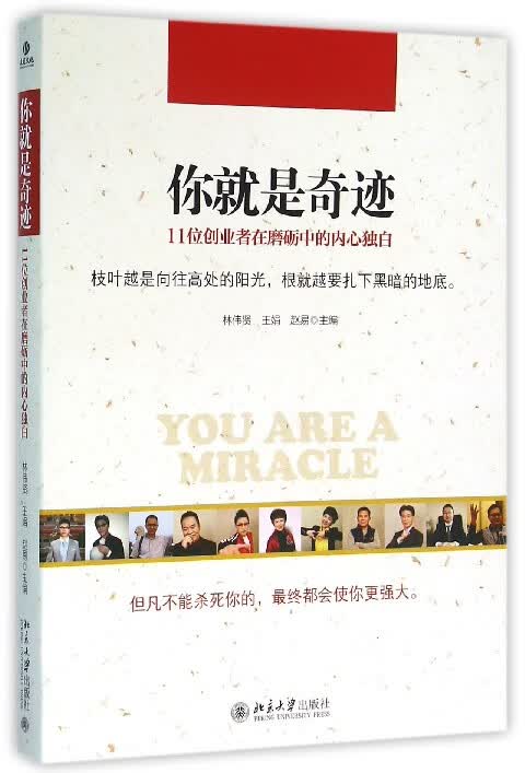 你就是奇迹(11位创业者在磨砺中的内心独白)