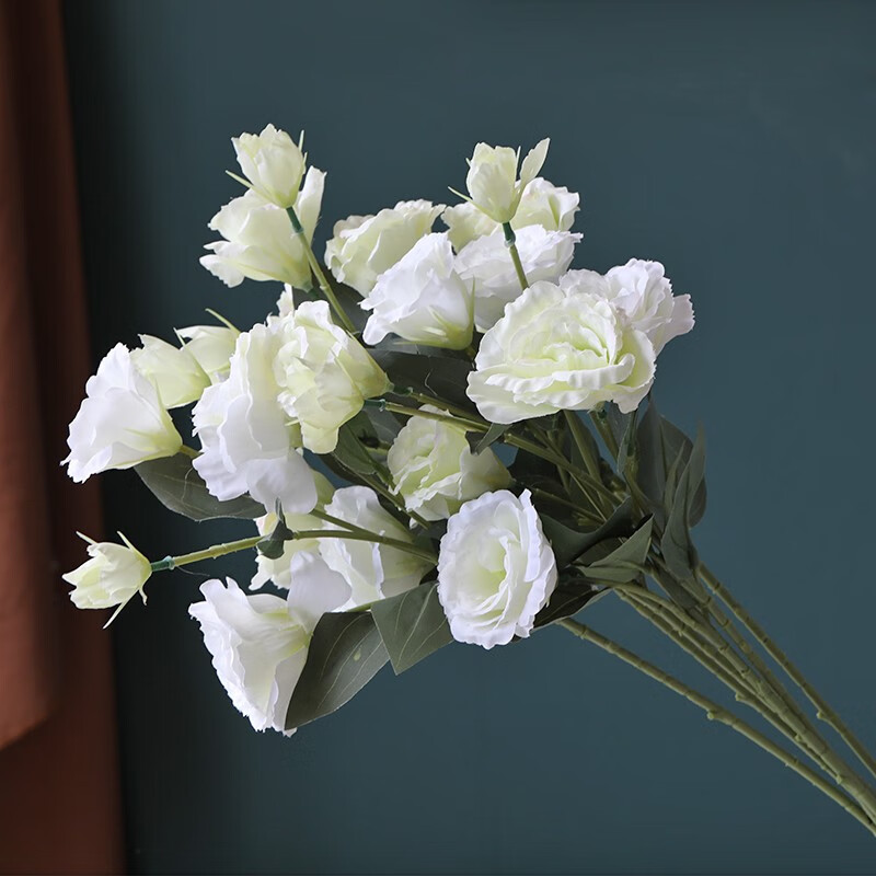 白色洋桔梗图片 白色桔梗花壁纸 5 伤感说说吧