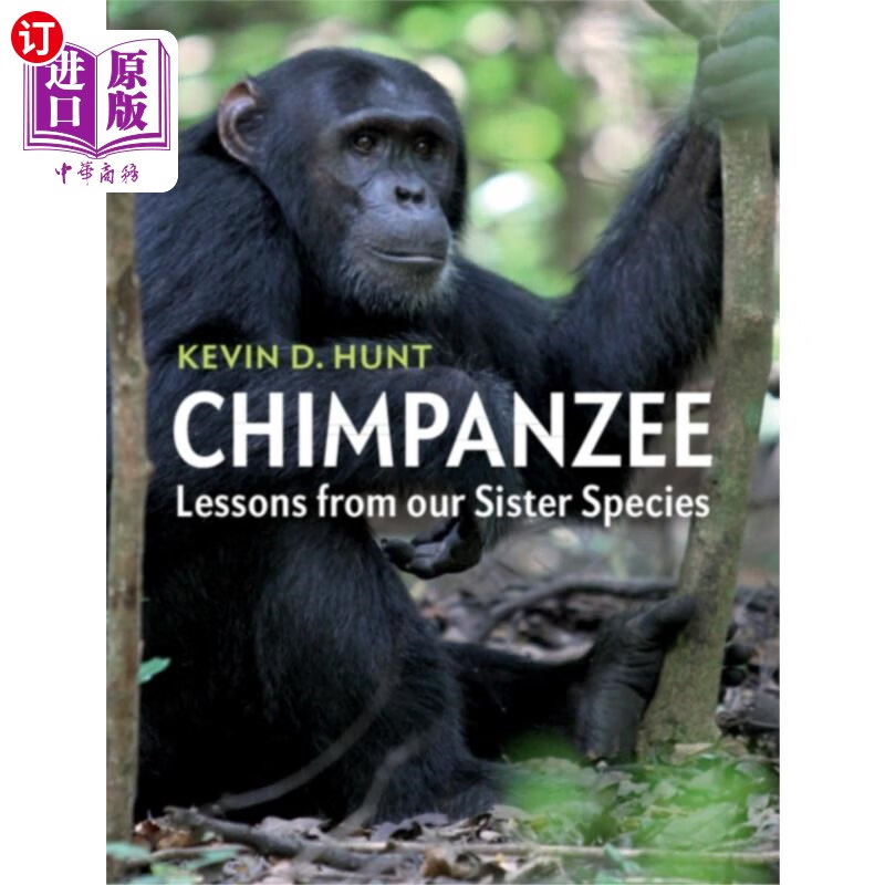 海外直订chimpanzee 黑猩猩