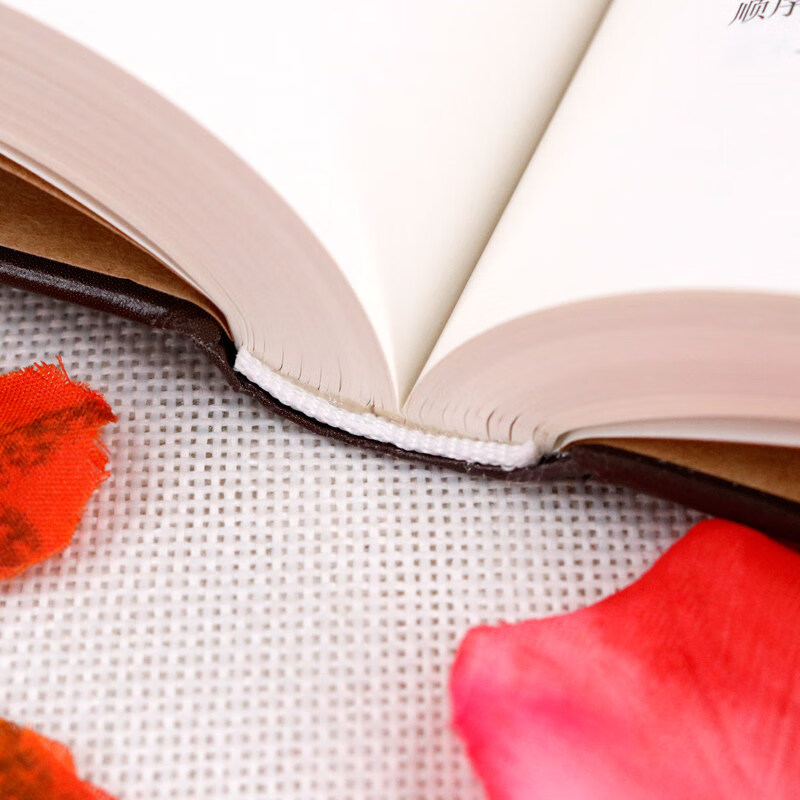 世界上最锻炼思维的500个逻辑游戏