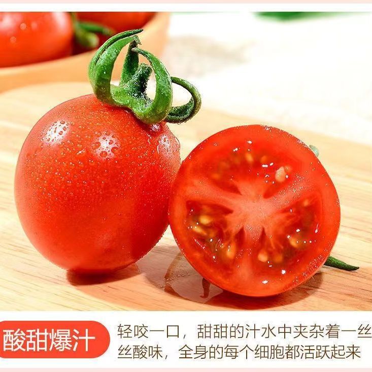 云南纯天正宗千禧圣女果超甜樱桃小番茄寿蔬菜新鲜水果整箱然 实惠装 5斤装小果【特价】