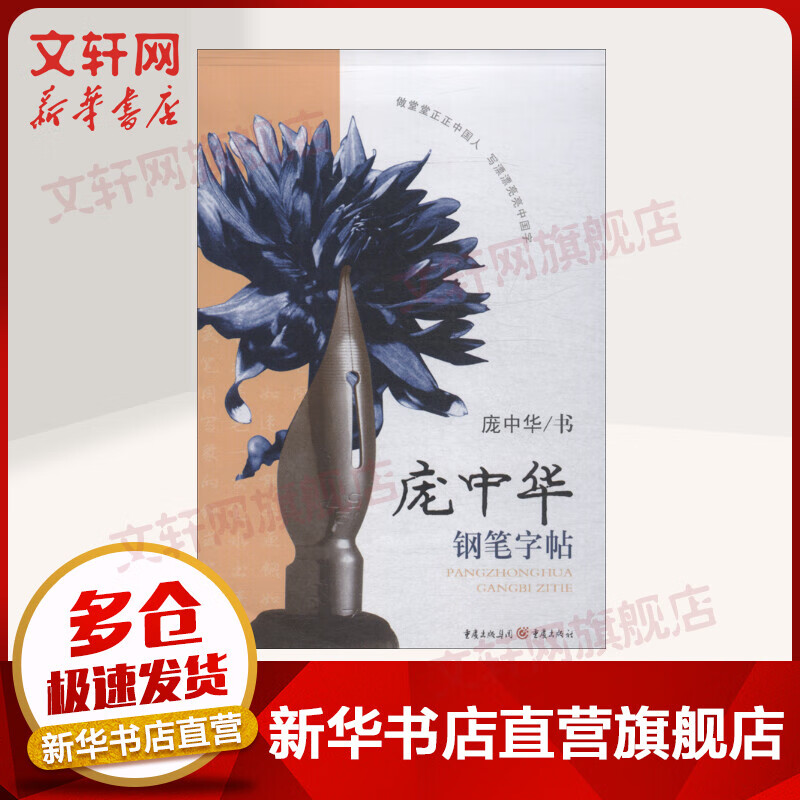庞中华钢笔字帖