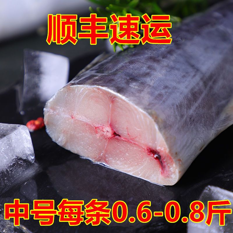 5斤/条5斤大鲅鱼新鲜冷冻马鲛鱼鲅鱼馅饺子燕鲅鱼海鲜批发 净5斤中号