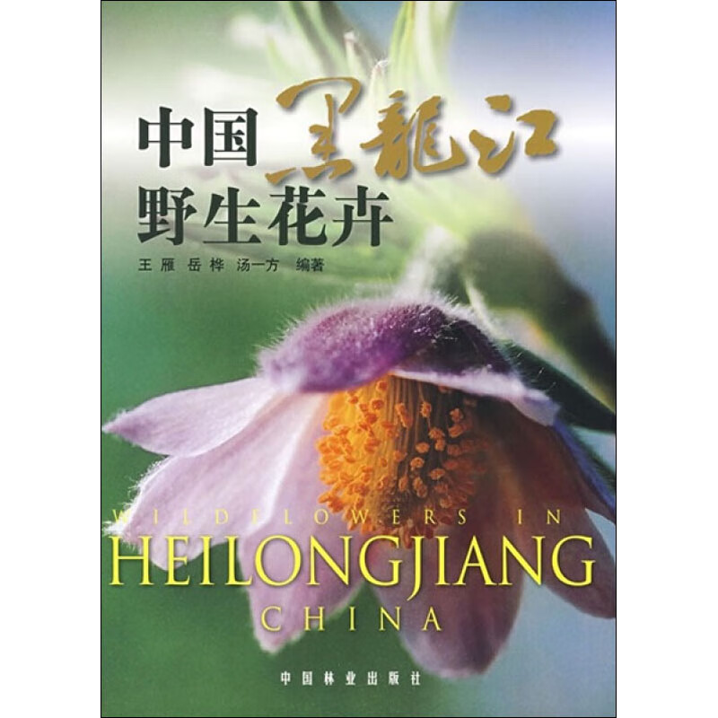 中国黑龙江野生花卉