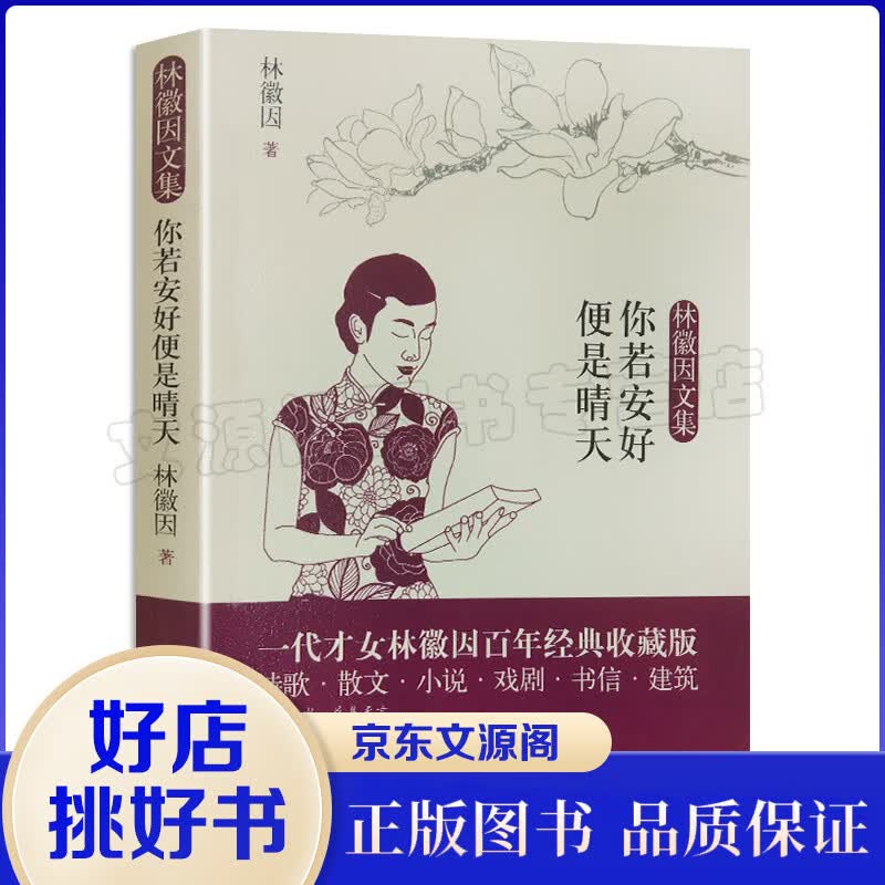 林徽因文集一你若安好便是晴天 一代才女林徽因百年经典全收录 散文随笔 文学作品书籍 书籍