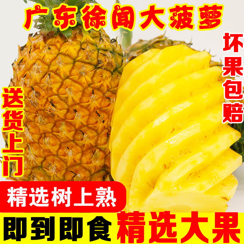 【现摘现发】菠萝新鲜水果凤梨热带整箱香水小都乐蜜 当季孕妇徐闻糖