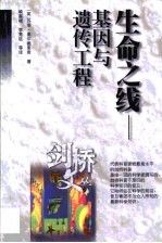 生命之线
