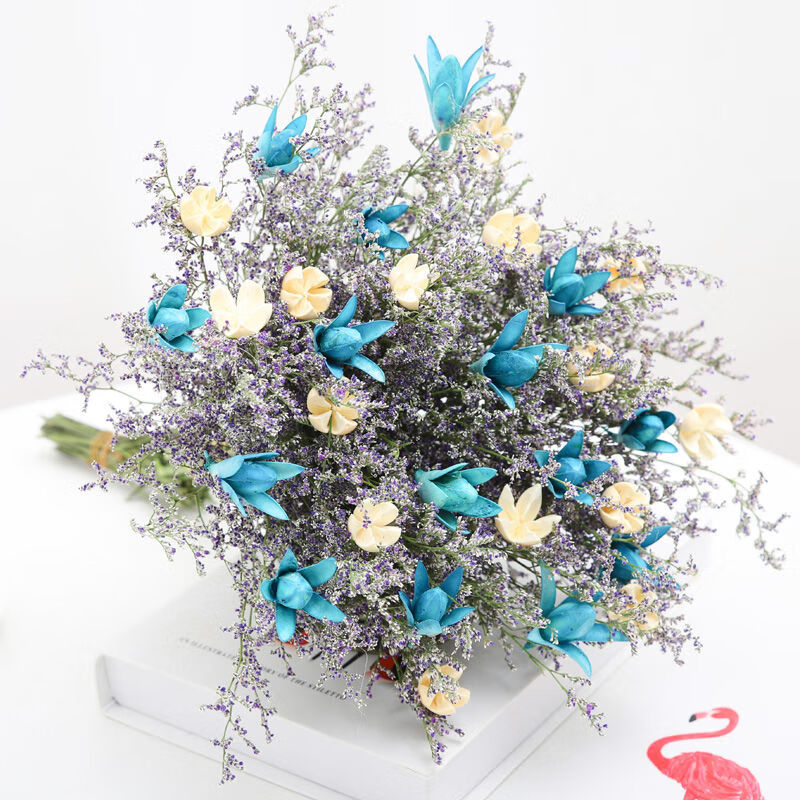 可以看京东干花历史价格|干花价格比较