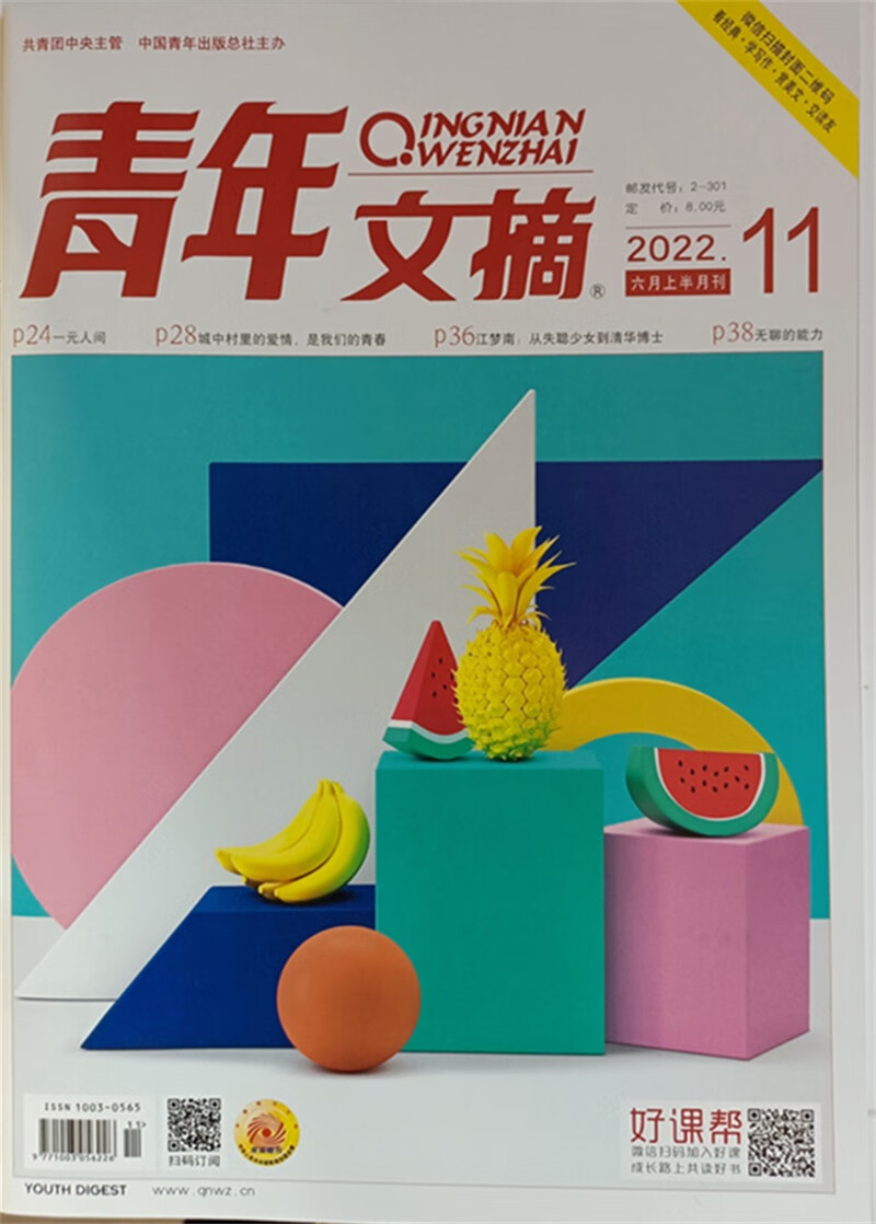 青年文摘 2022年第11期 文学文摘期刊 中学生作文素材课外阅书籍 京东