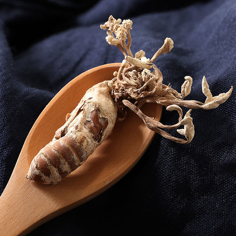 2020年新货野生金蝉花蝉花知了花正宗蝉花虫草粉大别山金蝉花 10只