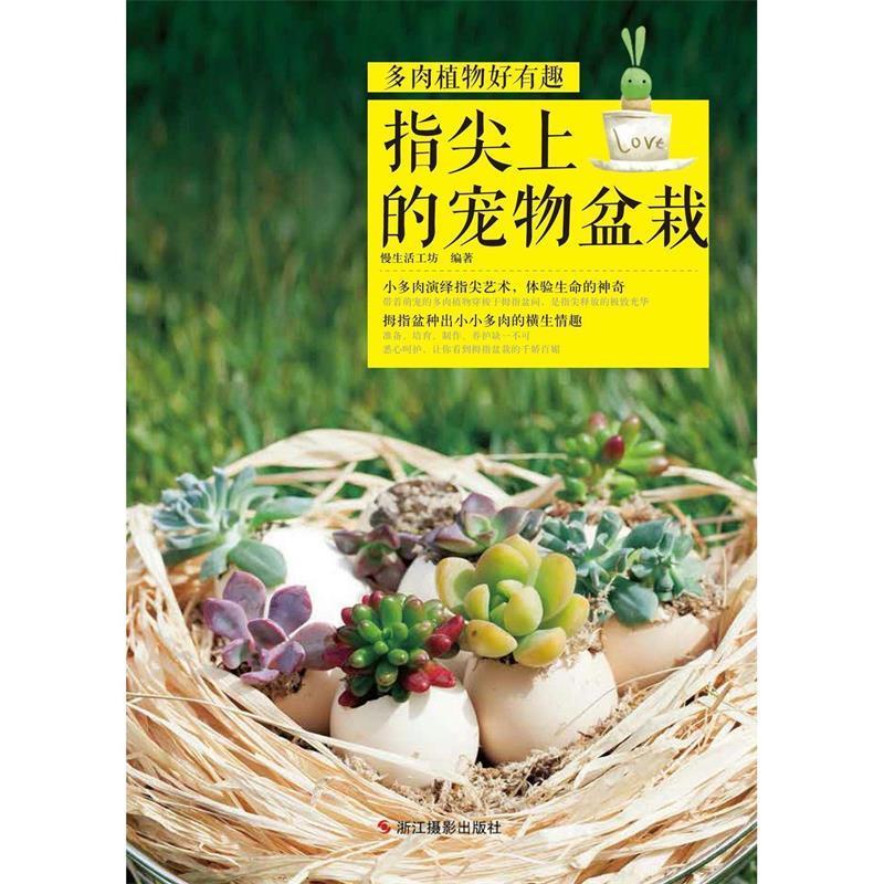 指尖上的宠物盆栽
