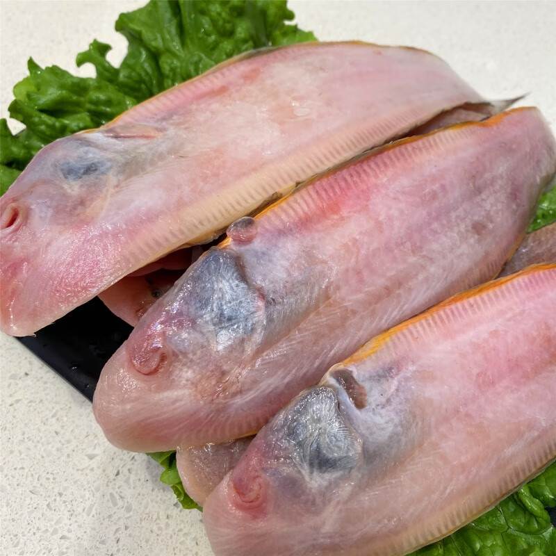 冷冻龙利头鱼舌鳎米鱼鳎比目鱼踏板鱼柳海鲜水产2500g