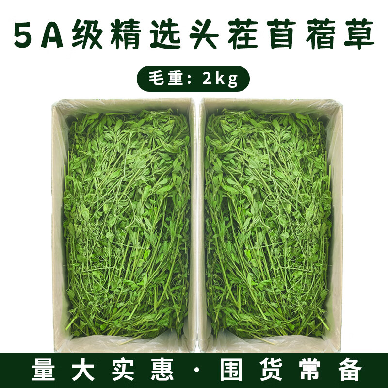 牛寵苜蓿草紫花干草兔子糧草幼兔食用龍貓豚鼠吃的糧食苜宿草兔糧飼料 2000g