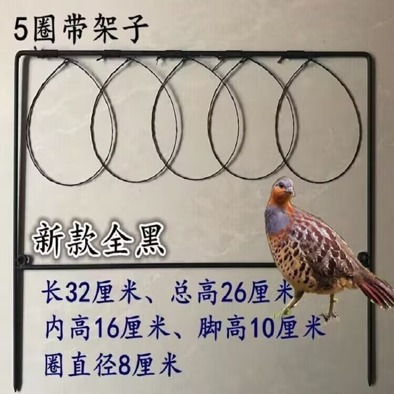 仿真鸡标本竹鸡模型新款模型摆件仿真观赏户外竹钢丝养殖白面水鸡 5圈