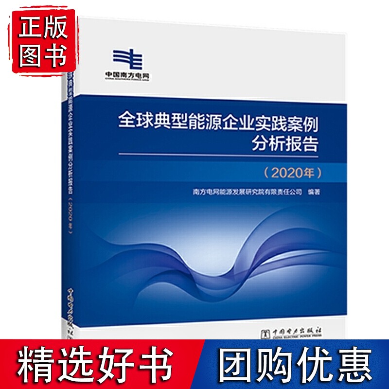 典型能源企业实践案例分析报告（2020年）