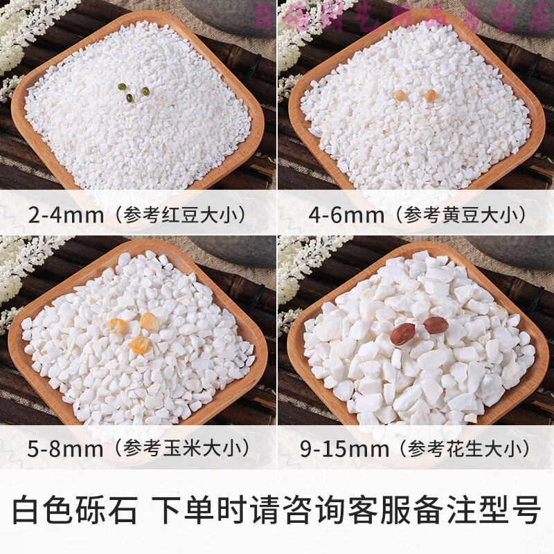 水洗石地面外墙水刷石骨料材料白色石子瓜米石小砾石 白色50斤