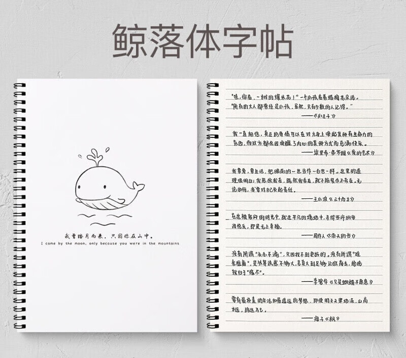 猫印堂沄潮体手写练字帖奶酪鲸落高中生高中女生硬笔书法练字本成人