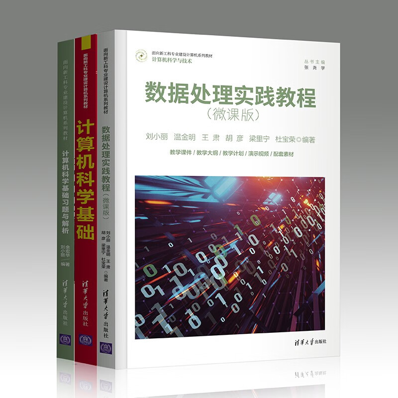 计算机科学基础及数据处理实训(套装共三册）